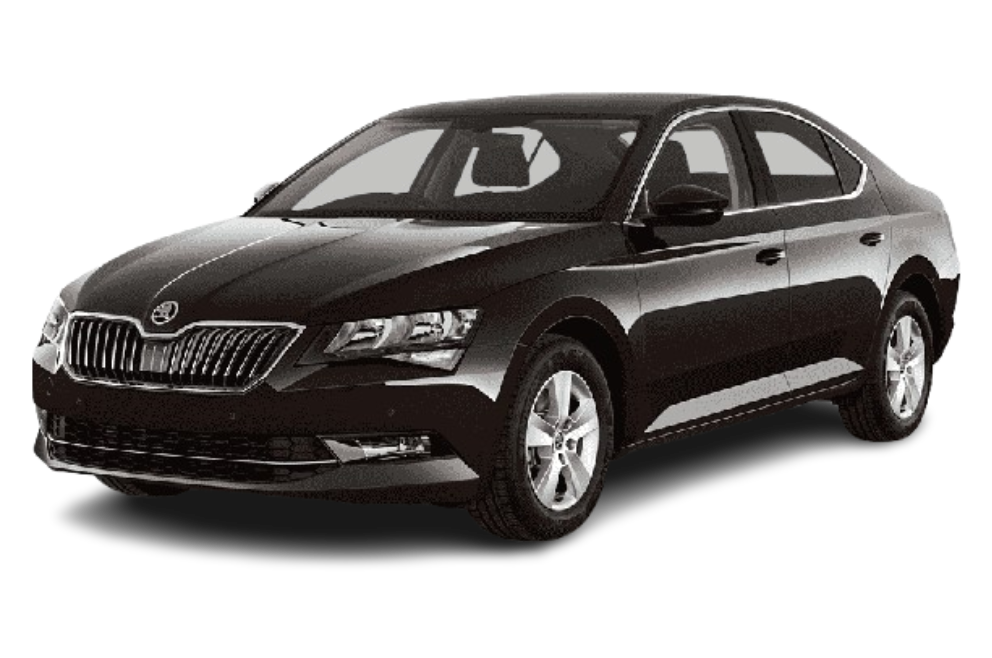 Skoda Icon